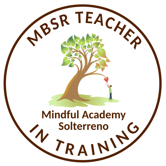 MBSR Teacher In Training